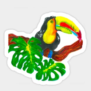 Toucan and Monstera Sticker